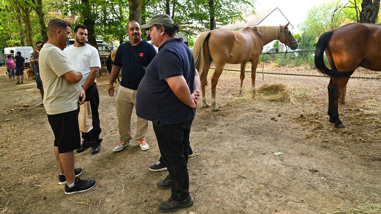 La négociation se fait ici au milieu des chevaux.