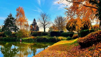 Couleurs d'automne au Vieux-Pays