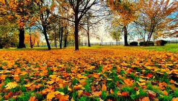 Couleurs d'automne au Vieux-Pays