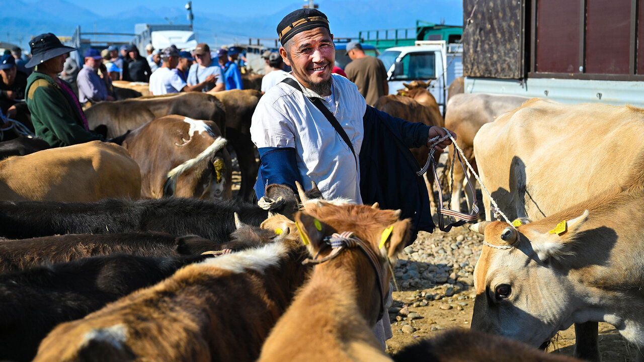 Au marché de Karakol