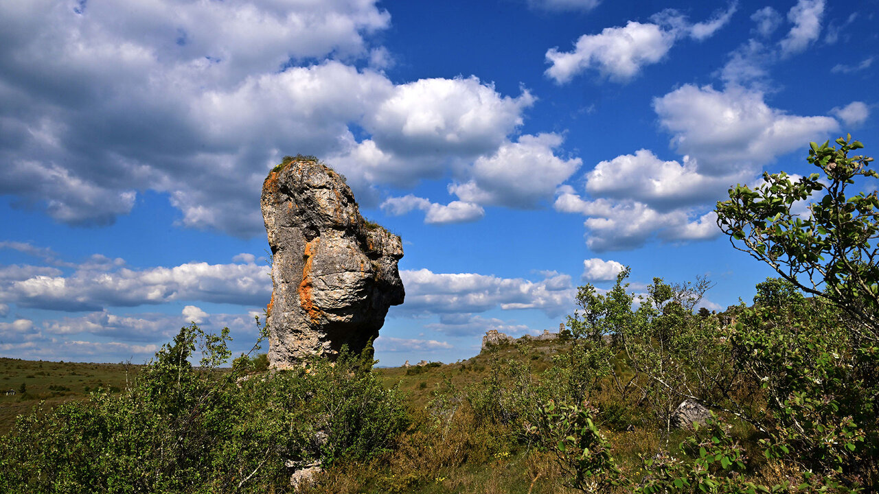 Hitchcock dans le Larzac