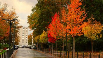 Couleurs d'automne au centre ville