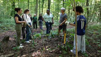 Intervention des campus écolo dans le bois du parc de Tremblay le 31 juillet
