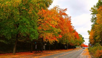 Couleurs d'automne au centre ville