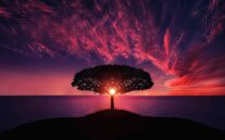 Titre arbre mer alt arbre mer