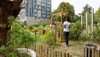 Installation d'un îlot de fraîcheur au jardin de la Paix par les jeunes du Campus Ecolo le 13 août