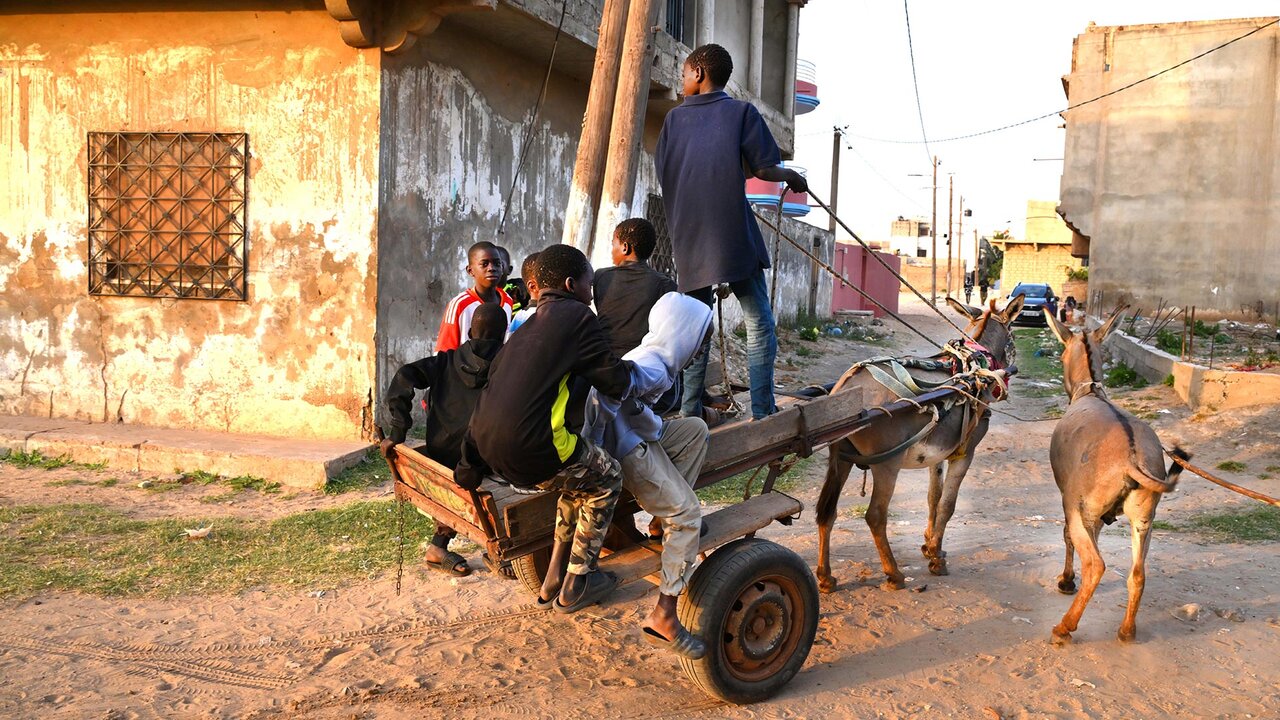 La carriole est encore très utilisée au Sénégal pour se déplacer dans la ville de Dakar