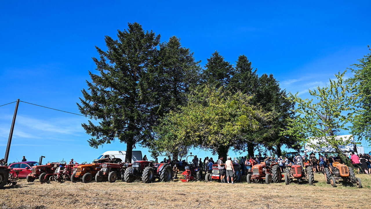  Les vieux tracteurs alignés sous les arbres.