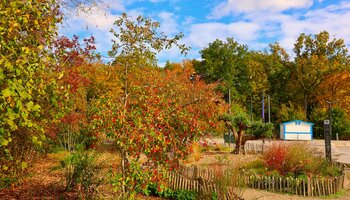 Couleurs d'automne au centre ville
