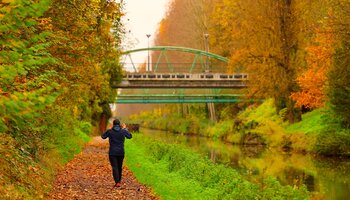 Couleurs d'automne au canal de l'Ourcq