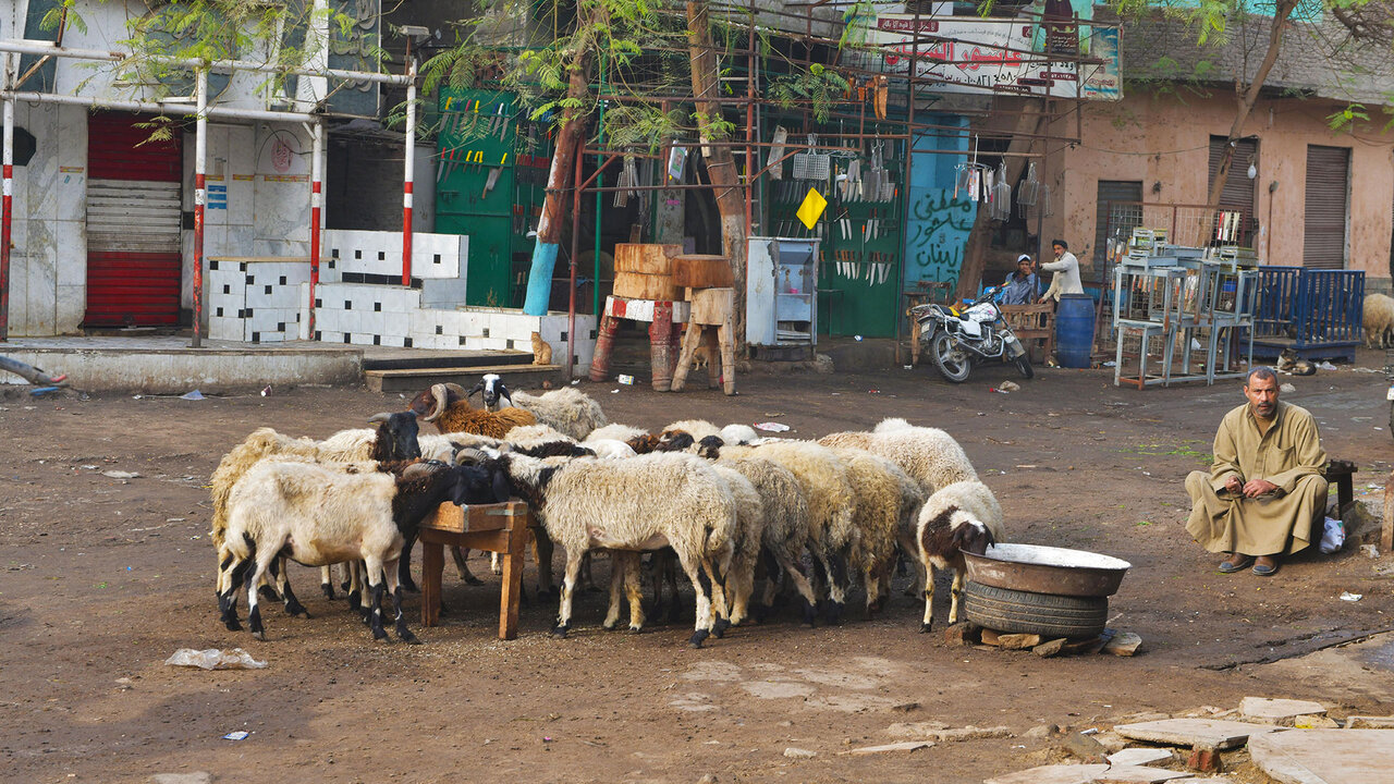 Le centre-ville de Port-Saïd