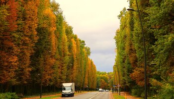 Couleurs d'automne au centre ville