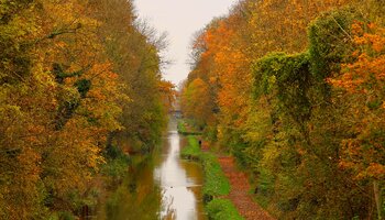 Couleurs d'automne au canal de l'Ourcq