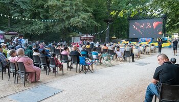 Cinéma en plein air au parc